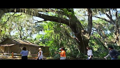 Island Life Season 7 Episode 10