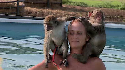 Preposterous Pets Season 1 Episode 2