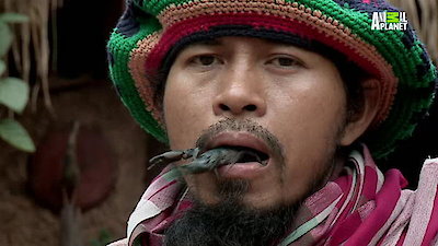 Preposterous Pets Season 1 Episode 6