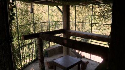 Preposterous Pets Season 1 Episode 10