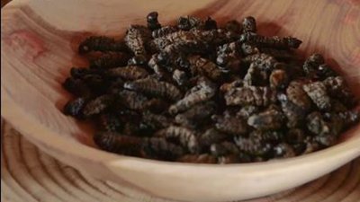 Expedition Unknown Season 4 Episode 26