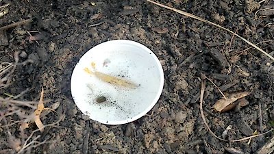 Hack My Life Season 1 Episode 10