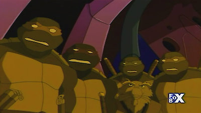 Teenage Mutant Ninja Turtles Season 2 Episode 6