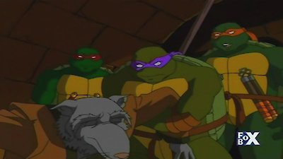 Teenage Mutant Ninja Turtles Season 2 Episode 19