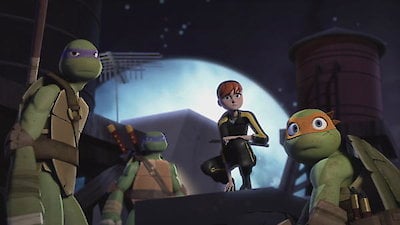 Teenage Mutant Ninja Turtles Season 4 Episode 15