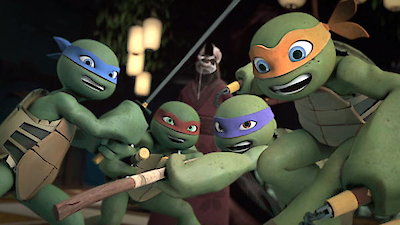 Teenage Mutant Ninja Turtles Season 5 Episode 10