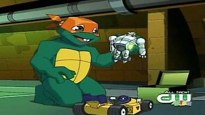 Teenage Mutant Ninja Turtles Season 7 Episode 6