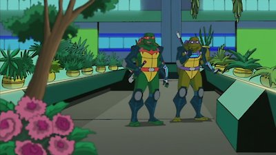 Teenage Mutant Ninja Turtles Season 6 Episode 19