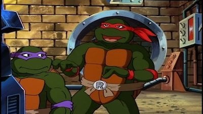 Watch Teenage Mutant Ninja Turtles Online - Full Episodes - All Seasons -  Yidio