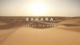 Sahara: Life of the Edge