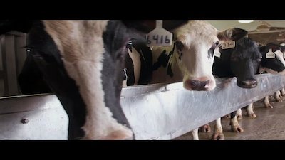 Unwrapped 2.0 Season 3 Episode 5