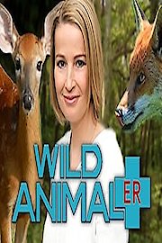 Wild Animal ER