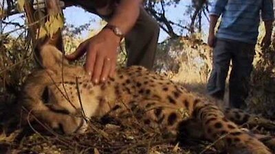 Wild at Heart Season 1 Episode 2