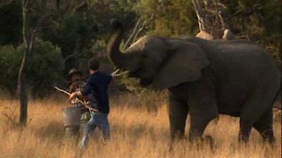 Wild at Heart Season 1 Episode 6