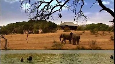 Wild at Heart Season 2 Episode 2