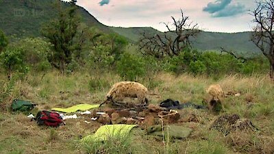 Wild at Heart Season 2 Episode 10