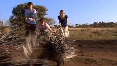 Wild at Heart Season 3 Episode 7