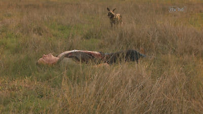 Wild at Heart Season 4 Episode 9