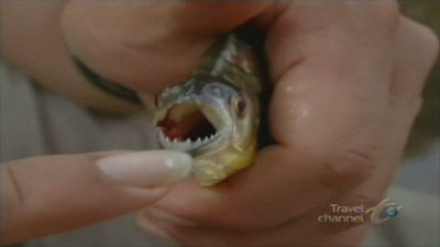 No Reservations Season 2 Episode 3