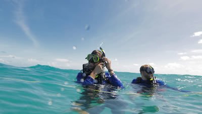 Rock The Park Season 4 Episode 13