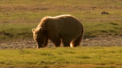 Rock The Park Season 3 Episode 5