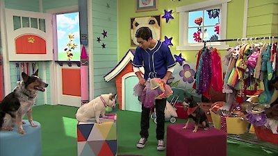 Mutt & Stuff Season 1 Episode 3