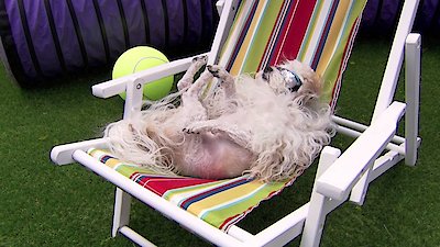 Mutt & Stuff Season 1 Episode 8