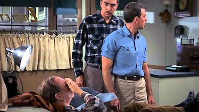 Mayberry R.F.D. Season 1 Episode 11