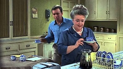 Mayberry R.F.D. Season 1 Episode 14