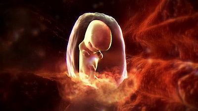 CSI: Crime Scene Investigation (Espa Season 6 Episode 6