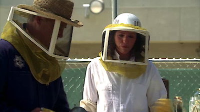 CSI: Crime Scene Investigation (Espa Season 8 Episode 4