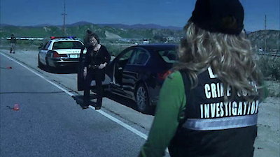 CSI: Crime Scene Investigation (Espa Season 8 Episode 12