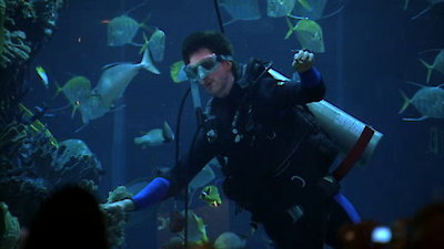 CSI: Crime Scene Investigation (Espa Season 11 Episode 2