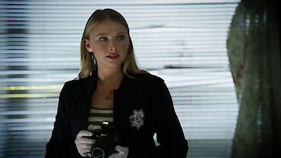 CSI: Crime Scene Investigation (Espa Season 12 Episode 8