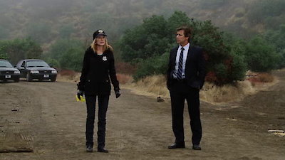 CSI: Crime Scene Investigation (Espa Season 12 Episode 9