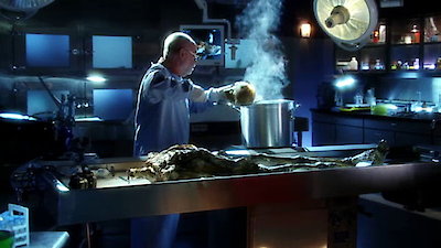 CSI: Crime Scene Investigation (Espa Season 12 Episode 15