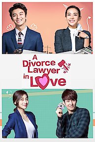 A Divorce Lawyer in Love