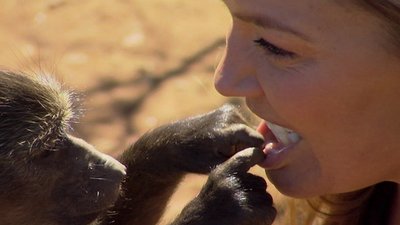 Wild Animal Orphans Season 1 Episode 7