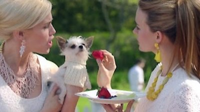 Odd Mom Out Season 2 Episode 9