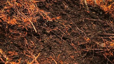 Unearthed Season 1 Episode 2