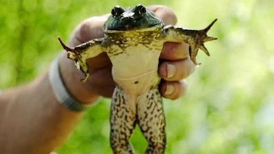 E:60 Season 11 Episode 9