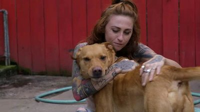 Watch Pit Bulls And Parolees Season 9 Episode 30 A Family Connection Online Now