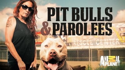 Pit Bulls and Parolees Season 1 Episode 5