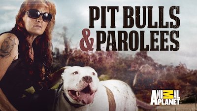 Pit Bulls and Parolees Season 1 Episode 1