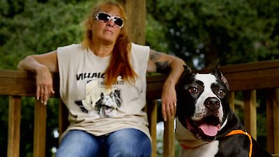 Pit Bulls and Parolees Season 17 Episode 5