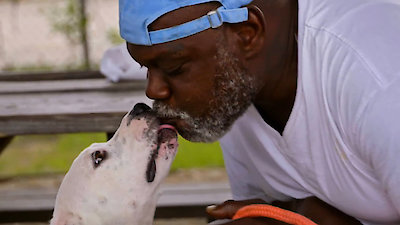 Pit Bulls and Parolees Season 18 Episode 2