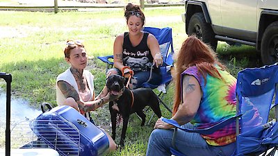 Pit Bulls and Parolees Season 18 Episode 3