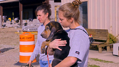 Pit Bulls and Parolees Season 19 Episode 2