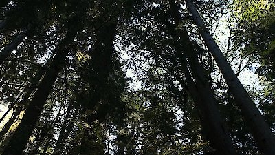 Serial Thriller Season 1 Episode 3