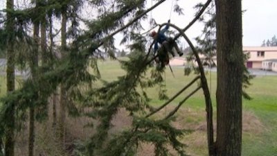 Treetop Cat Rescue Season 1 Episode 1